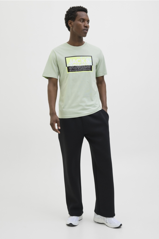 JCOLOGAN SUMMER PRINT TEE CREW NECK 12283825 AQUA GREY